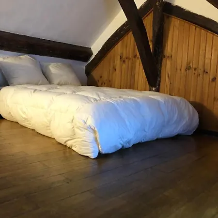 Apartment Duplex & Charme De Chalet En Plein Coeur Du Marais *